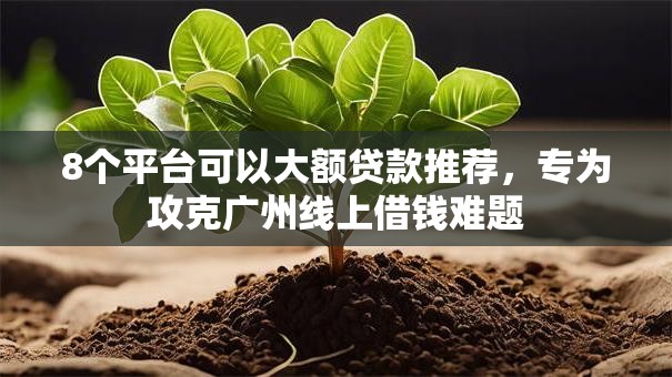 8个平台可以大额贷款推荐，专为攻克广州线上借钱难题