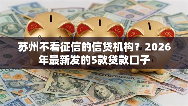 苏州不看征信的信贷机构？2026年最新发的5款贷款口子