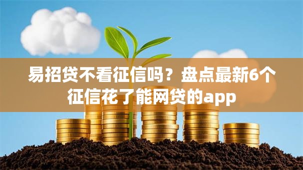易招贷不看征信吗？盘点最新6个征信花了能网贷的app