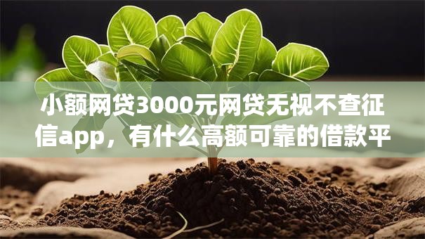 小额网贷3000元网贷无视不查征信app，有什么高额可靠的借款平台的6个平台介绍
