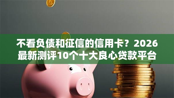 不看负债和征信的信用卡？2026最新测评10个十大良心贷款平台利息低一点