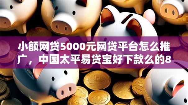 小额网贷5000元网贷平台怎么推广，中国太平易贷宝好下款么的8个平台介绍