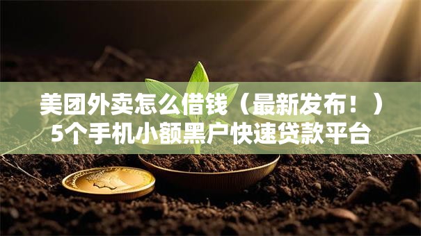 美团外卖怎么借钱（最新发布！）5个手机小额黑户快速贷款平台