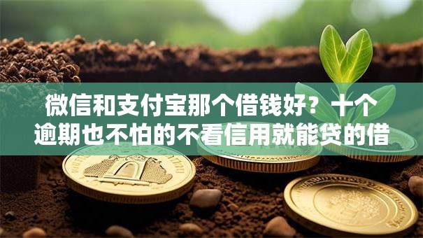 微信和支付宝那个借钱好？十个逾期也不怕的不看信用就能贷的借钱软件