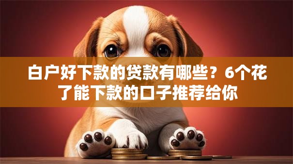 白户好下款的贷款有哪些？6个花了能下款的口子推荐给你