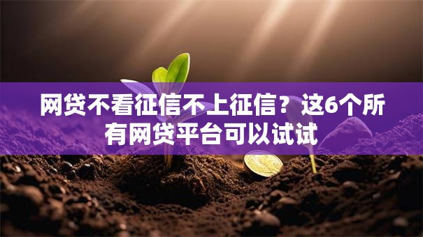 网贷不看征信不上征信？这6个所有网贷平台可以试试