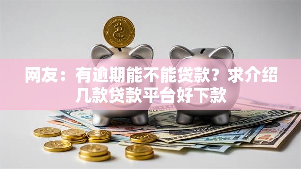 网友：有逾期能不能贷款？求介绍几款贷款平台好下款