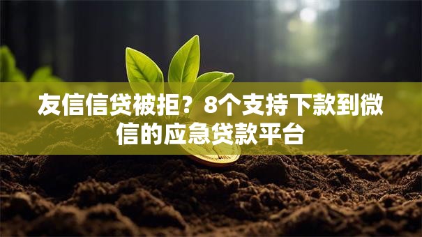 友信信贷被拒？8个支持下款到微信的应急贷款平台