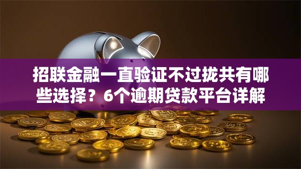 招联金融一直验证不过拢共有哪些选择?6个逾期贷款平台详解 招联金融一直验证不过拢共有哪些选择?6个逾期贷款平台详解
