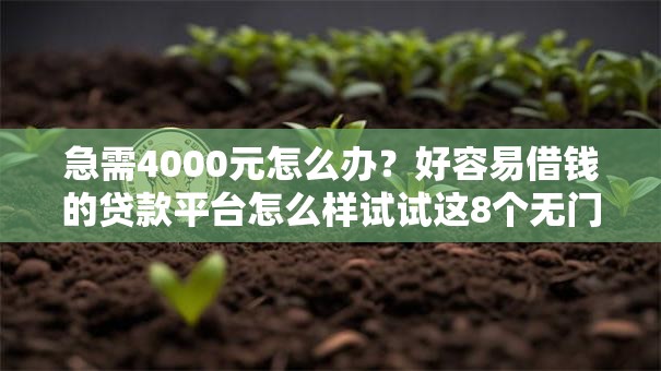 急需4000元怎么办？好容易借钱的贷款平台怎么样试试这8个无门槛平台