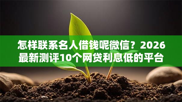 怎样联系名人借钱呢微信？2026最新测评10个网贷利息低的平台