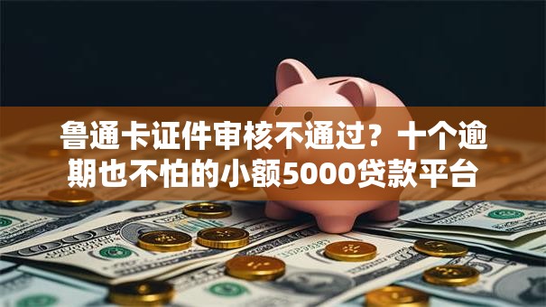 鲁通卡证件审核不通过？十个逾期也不怕的小额5000贷款平台
