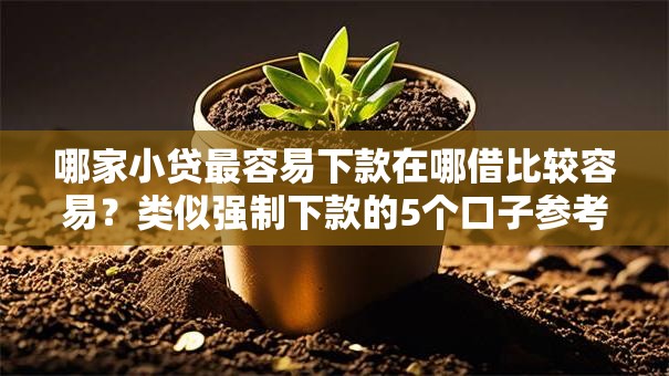 哪家小贷最容易下款在哪借比较容易？类似强制下款的5个口子参考