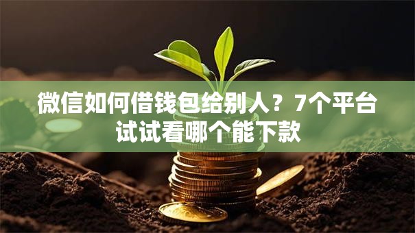 微信如何借钱包给别人？7个平台试试看哪个能下款