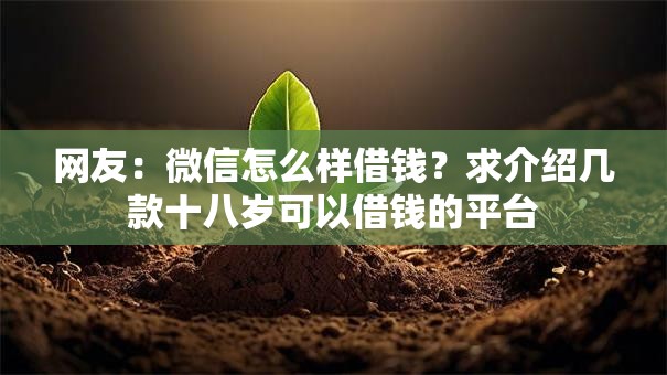 网友：微信怎么样借钱？求介绍几款十八岁可以借钱的平台