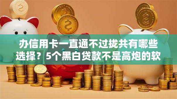 办信用卡一直通不过拢共有哪些选择？5个黑白贷款不是高炮的软件详解