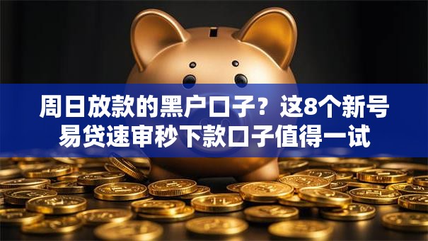 周日放款的黑户口子？这8个新号易贷速审秒下款口子值得一试