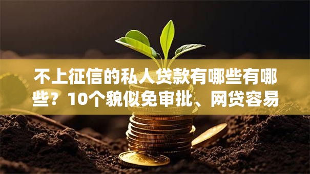 不上征信的私人贷款有哪些有哪些?10个貌似免审批、网贷容易下款18岁的app合集 不上征信的私人贷款有哪些有哪些?10个貌似免审批、网贷容易下款18岁的app合集