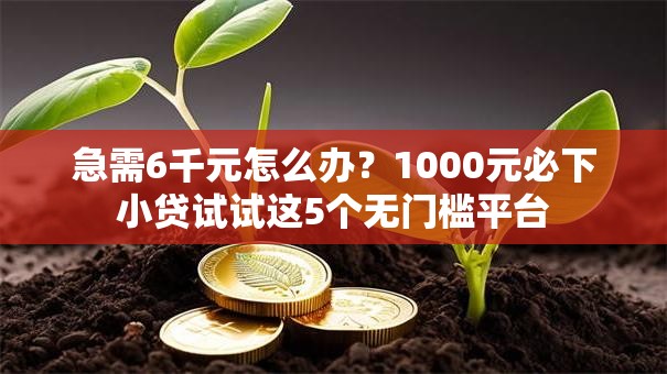急需6千元怎么办？1000元必下小贷试试这5个无门槛平台