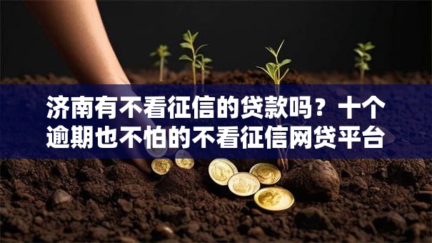 济南有不看征信的贷款吗?十个逾期也不怕的不看征信网贷平台放款快的口子 济南有不看征信的贷款吗?十个逾期也不怕的不看征信网贷平台放款快的口子
