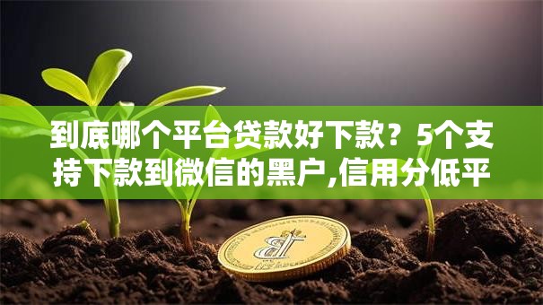 到底哪个平台贷款好下款？5个支持下款到微信的黑户,信用分低平台可以借钱