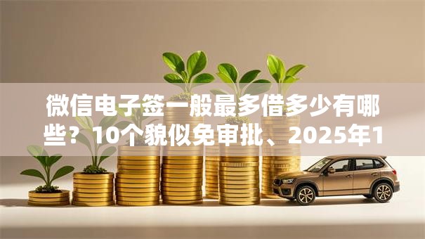 微信电子签一般最多借多少有哪些?10个貌似免审批、2025年12月放水口子合集 微信电子签一般最多借多少有哪些?10个貌似免审批、2025年12月放水口子合集