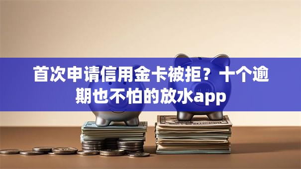 首次申请信用金卡被拒？十个逾期也不怕的放水app