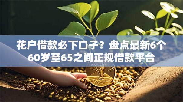 花户借款必下口子？盘点最新6个60岁至65之间正规借款平台