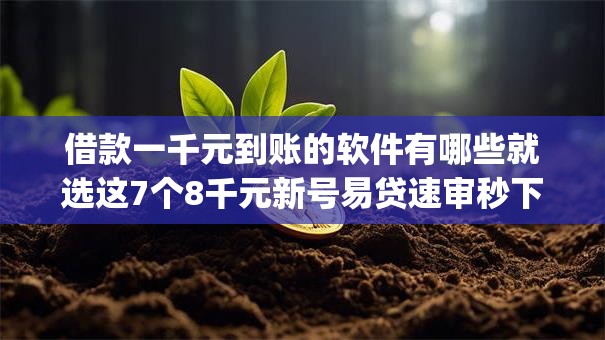 借款一千元到账的软件有哪些就选这7个8千元新号易贷速审秒下款app