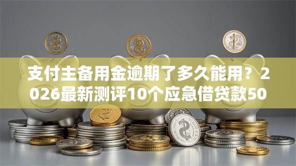 支付主备用金逾期了多久能用？2026最新测评10个应急借贷款500秒下平台