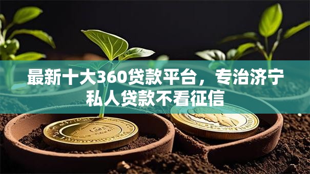 最新十大360贷款平台，专治济宁私人贷款不看征信