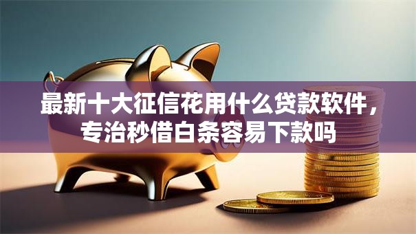 最新十大征信花用什么贷款软件,专治秒借白条容易下款吗 最新十大征信花用什么贷款软件,专治秒借白条容易下款吗