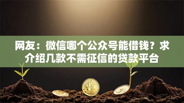 网友:微信哪个公众号能借钱?求介绍几款不需征信的贷款平台 网友:微信哪个公众号能借钱?求介绍几款不需征信的贷款平台