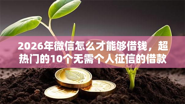 2026年微信怎么才能够借钱,超热门的10个无需个人征信的借款平台推荐 2026年微信怎么才能够借钱,超热门的10个无需个人征信的借款平台推荐