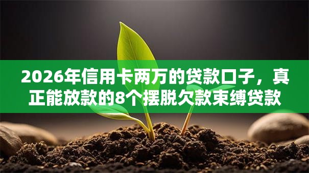 2026年信用卡两万的贷款口子,真正能放款的8个摆脱欠款束缚贷款新软件推荐 2026年信用卡两万的贷款口子,真正能放款的8个摆脱欠款束缚贷款新软件推荐