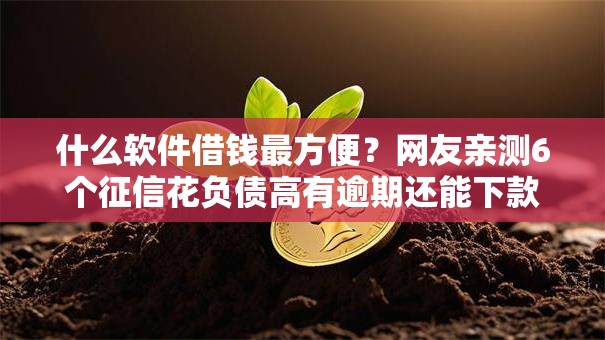 什么软件借钱最方便？网友亲测6个征信花负债高有逾期还能下款的口子盘点