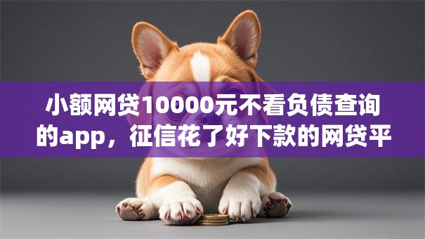 小额网贷10000元不看负债查询的app，征信花了好下款的网贷平台的6个平台介绍