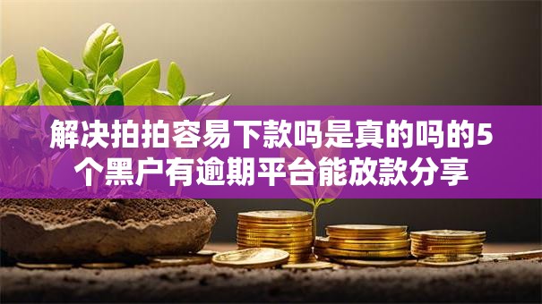解决拍拍容易下款吗是真的吗的5个黑户有逾期平台能放款分享