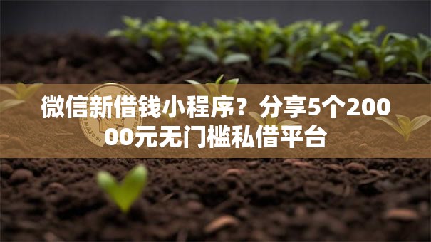 微信新借钱小程序?分享5个20000元无门槛私借平台 微信新借钱小程序?分享5个20000元无门槛私借平台