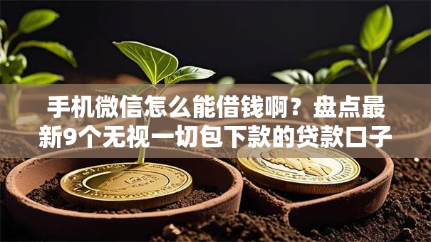 手机微信怎么能借钱啊？盘点最新9个无视一切包下款的贷款口子