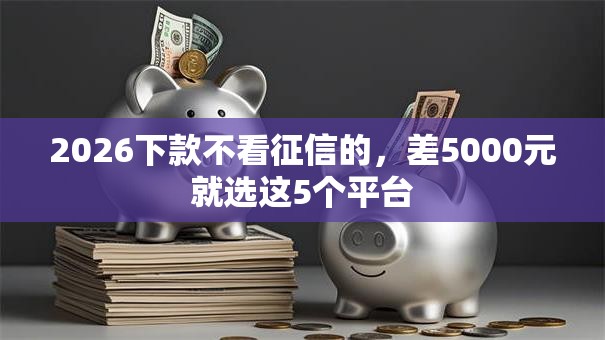 2026下款不看征信的，差5000元就选这5个平台