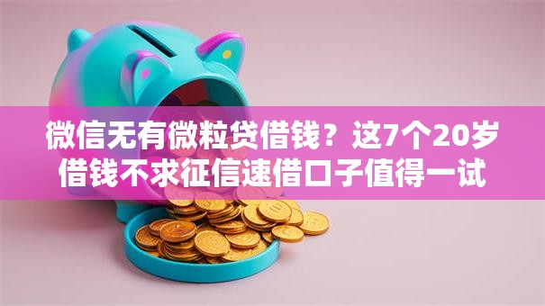 微信无有微粒贷借钱？这7个20岁借钱不求征信速借口子值得一试