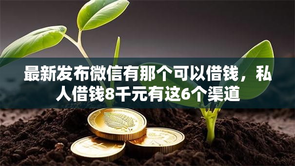 最新发布微信有那个可以借钱，私人借钱8千元有这6个渠道