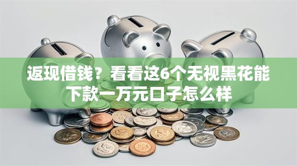 返现借钱？看看这6个无视黑花能下款一万元口子怎么样