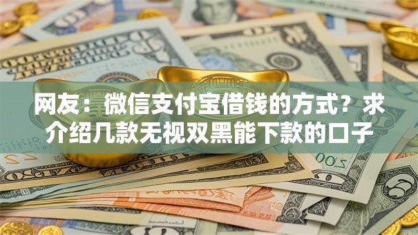 网友：微信支付宝借钱的方式？求介绍几款无视双黑能下款的口子