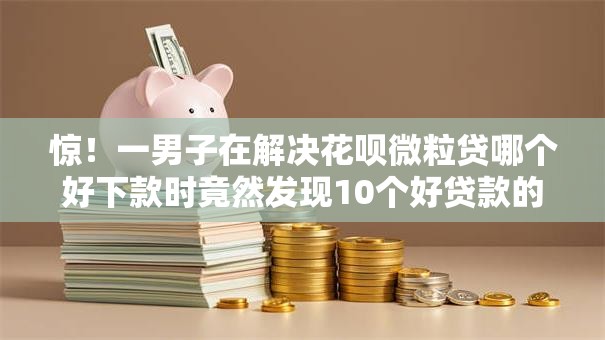 惊！一男子在解决花呗微粒贷哪个好下款时竟然发现10个好贷款的平台，事后分享了出来
