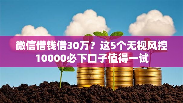 微信借钱借30万?这5个无视风控10000必下口子值得一试 微信借钱借30万?这5个无视风控10000必下口子值得一试