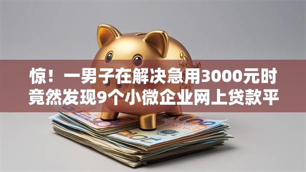 惊!一男子在解决急用3000元时竟然发现9个小微企业网上贷款平台,事后分享了出来 惊!一男子在解决急用3000元时竟然发现9个小微企业网上贷款平台,事后分享了出来