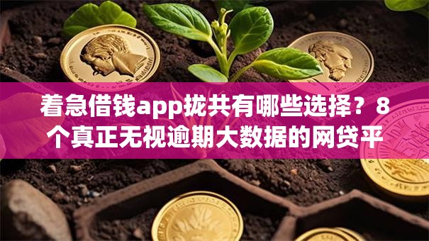 着急借钱app拢共有哪些选择?8个真正无视逾期大数据的网贷平台详解 着急借钱app拢共有哪些选择?8个真正无视逾期大数据的网贷平台详解