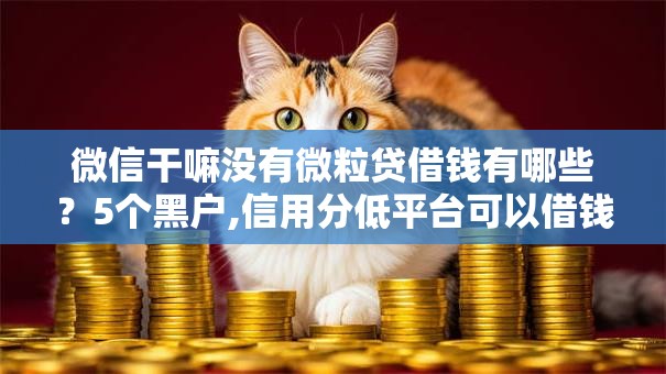 微信干嘛没有微粒贷借钱有哪些?5个黑户,信用分低平台可以借钱推荐给你 微信干嘛没有微粒贷借钱有哪些?5个黑户,信用分低平台可以借钱推荐给你